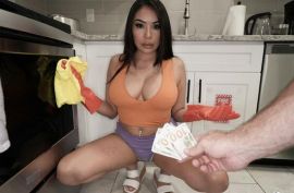 Заплатил грудастой уборщице за еблю